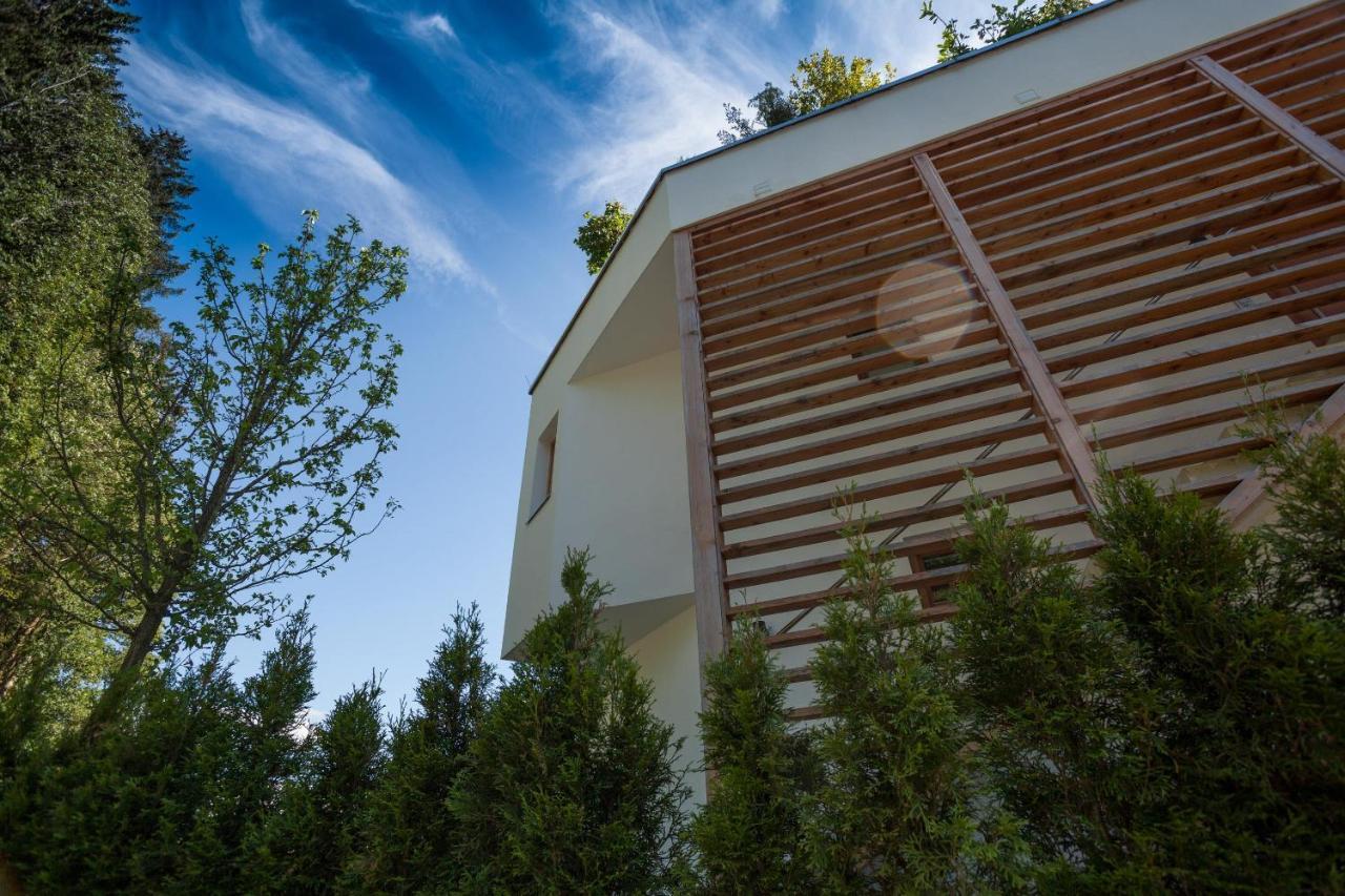 Kitz Apartments Kitzbühel Zewnętrze zdjęcie